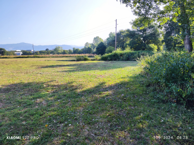 Zemljište 9600m2, Bandići, Danilovgrad