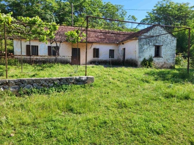 Zemljiste 4900m2, Bjelopavlici, Danilovgrad, Prodaja
