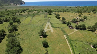 Zemljiste 7388m2 Buljarica,Budva