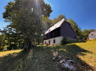 Zemljiste 12000m2, Pasina Voda, Zabljak, Prodaja