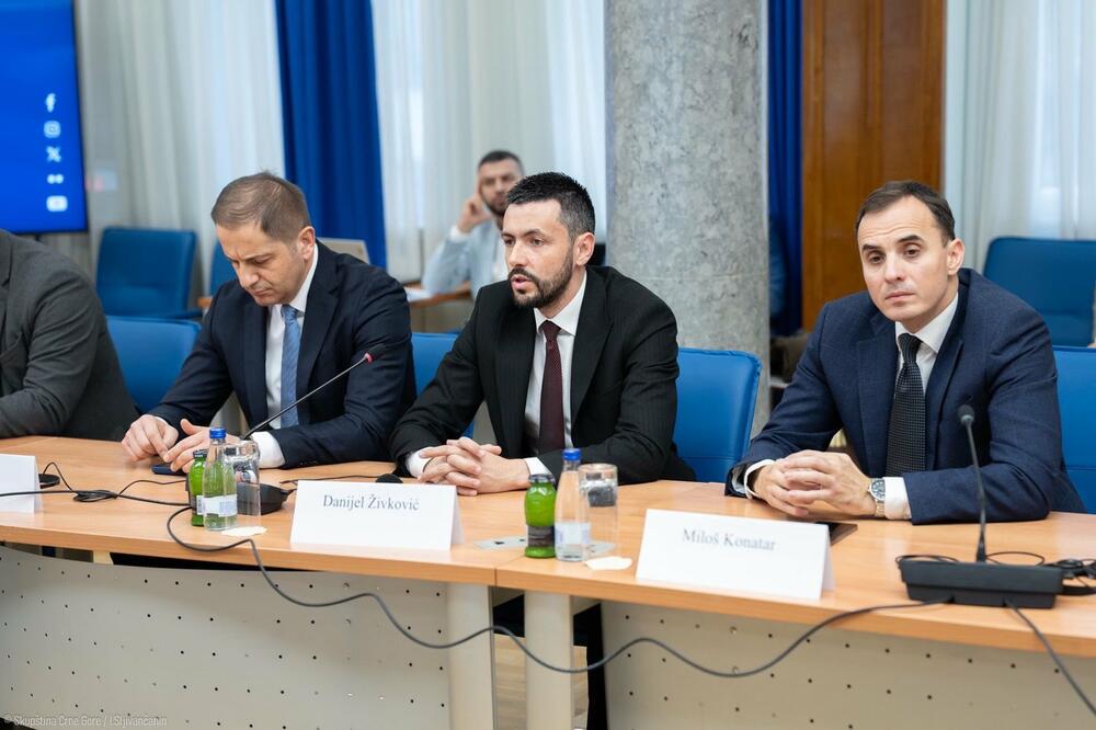 Živković: Evropska retorika često koristi kao paravan aktuelnoj Vladi za ozbiljne propuste